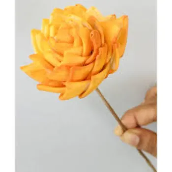 Yellow  Shola Flower